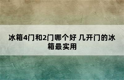 冰箱4门和2门哪个好 几开门的冰箱最实用